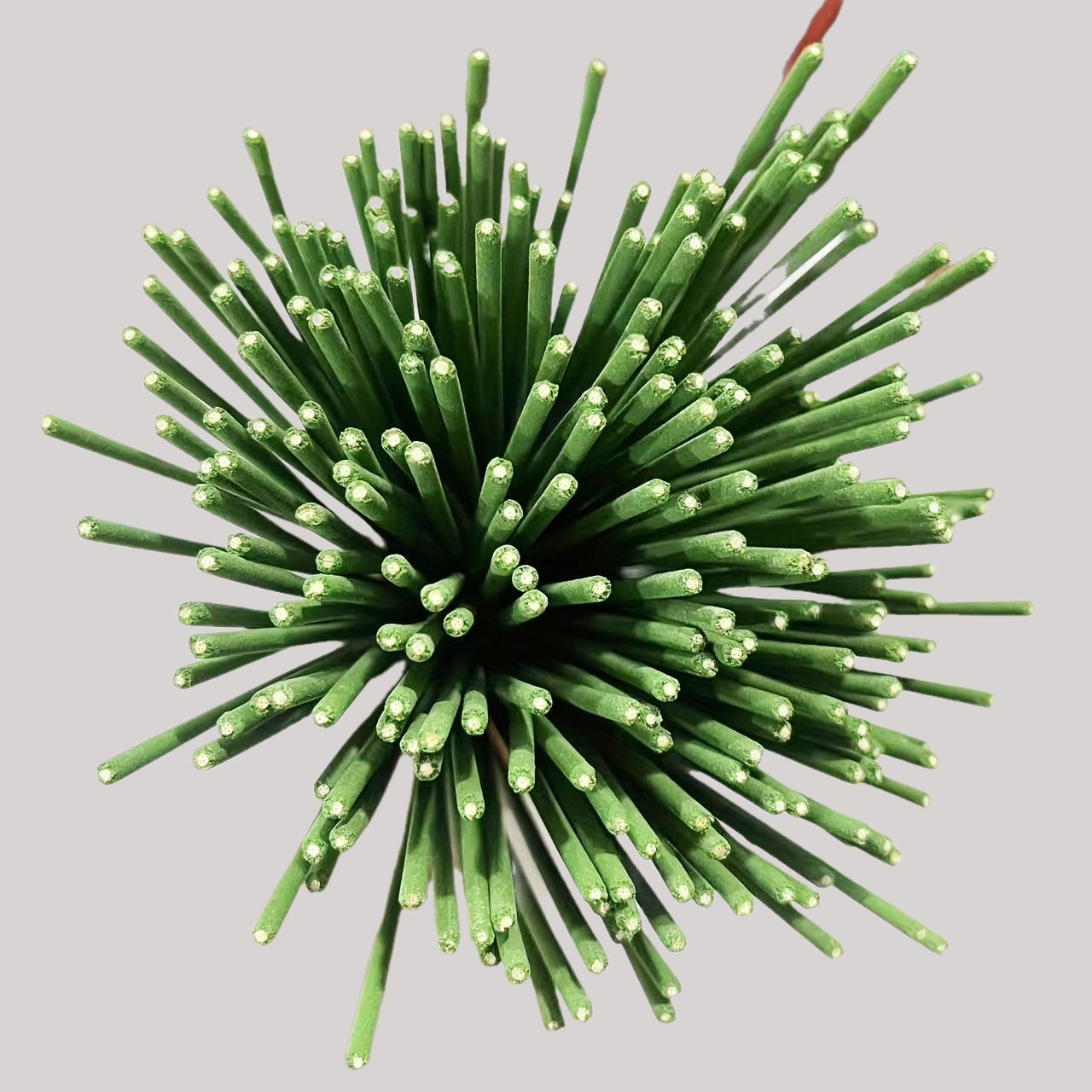 Reed Diffuser Sticks Lemongras - Home Fragrance Oud recension och pris